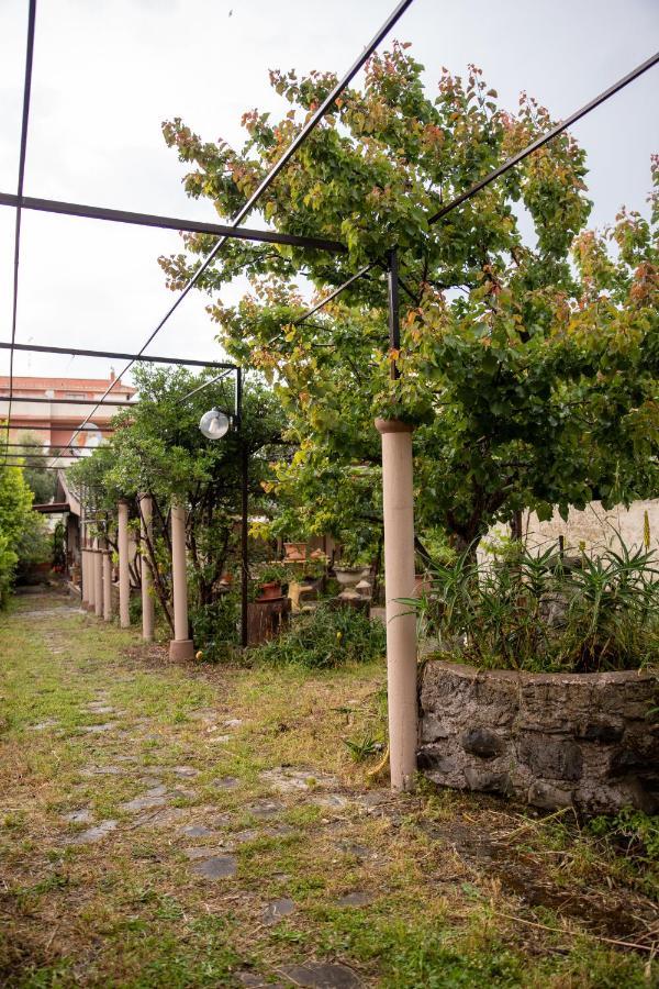 Suite Gli Ulivi Colonna エクステリア 写真